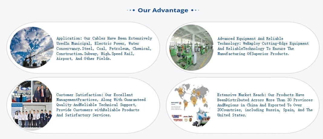 company advantage